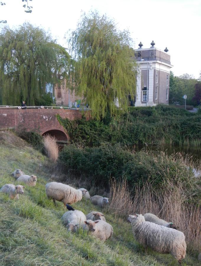 Logies De Zeeuwse Klei, Een Gezellig Jaren 30 Huis Middelburg Exterior foto